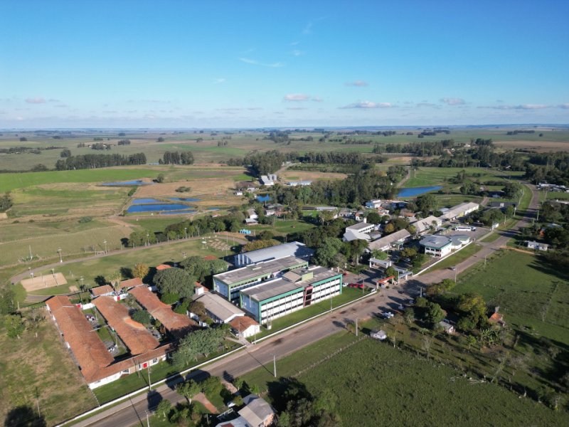 Estudantes caminhando no campus