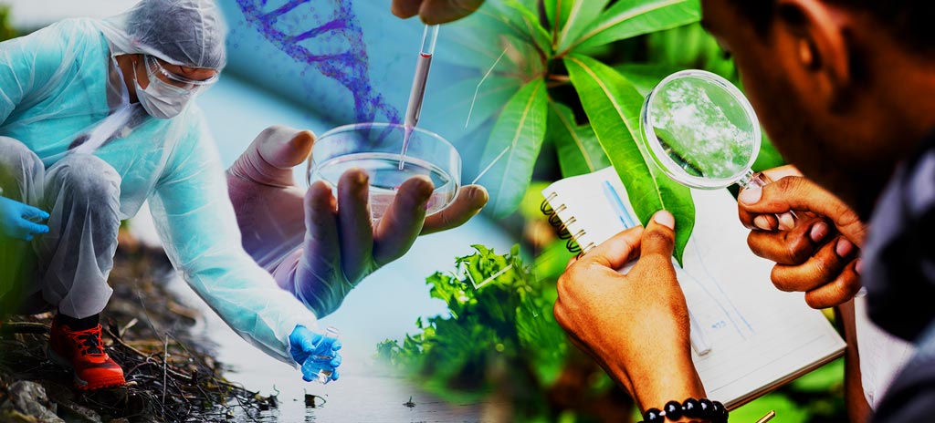 Biologia